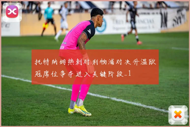 托特纳姆热刺对利物浦对决升温欧冠席位争夺进入关键阶段_1