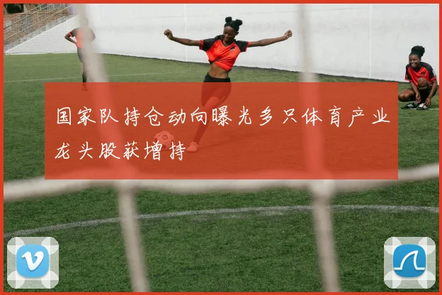 国家队持仓动向曝光多只体育产业龙头股获增持
