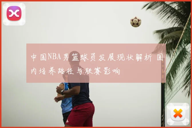 中国NBA男篮球员发展现状解析 国内培养路径与联赛影响