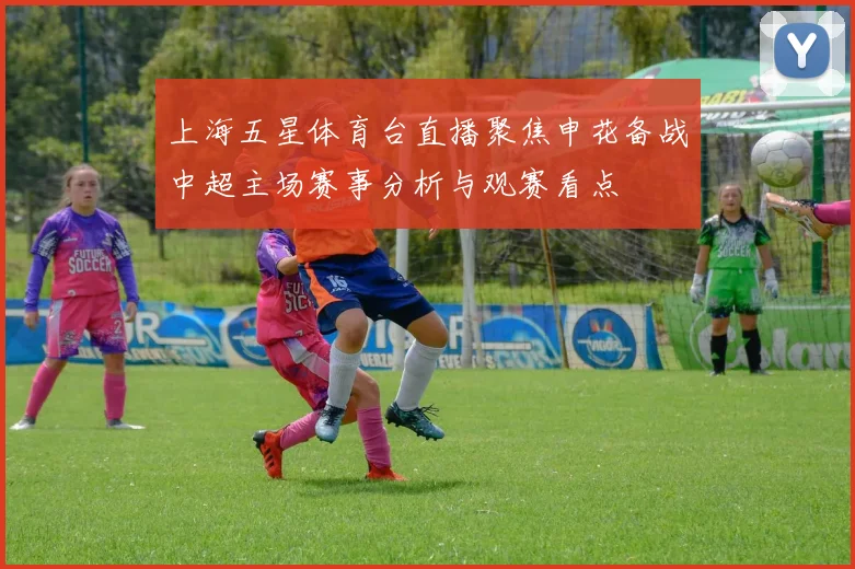 上海五星体育台直播聚焦申花备战中超主场赛事分析与观赛看点