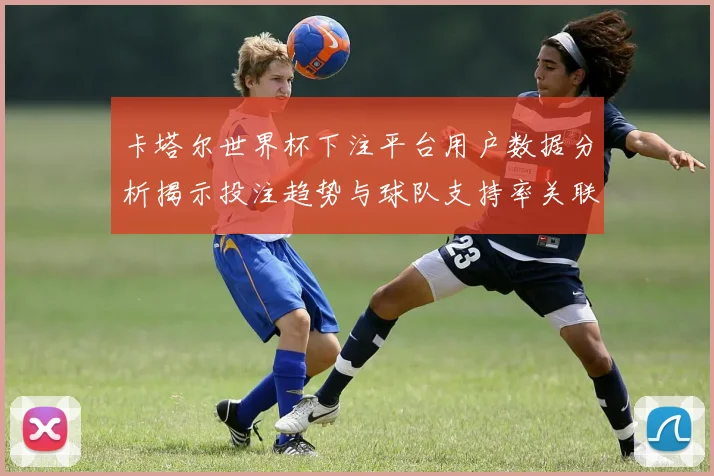 卡塔尔世界杯下注平台用户数据分析揭示投注趋势与球队支持率关联