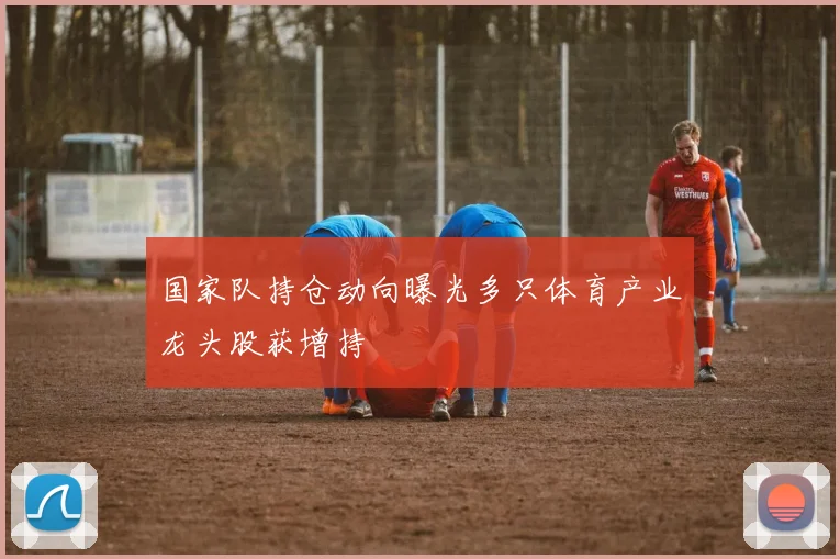 国家队持仓动向曝光多只体育产业龙头股获增持