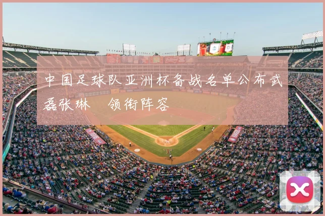 中国足球队亚洲杯备战名单公布武磊张琳芃领衔阵容