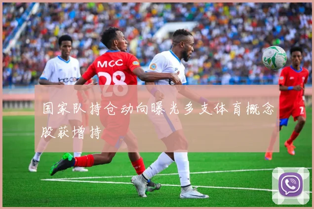 国家队持仓动向曝光多支体育概念股获增持