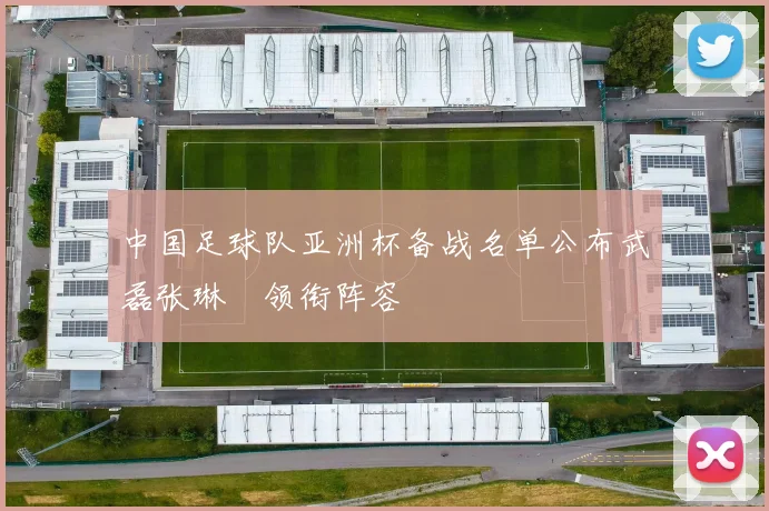 中国足球队亚洲杯备战名单公布武磊张琳芃领衔阵容