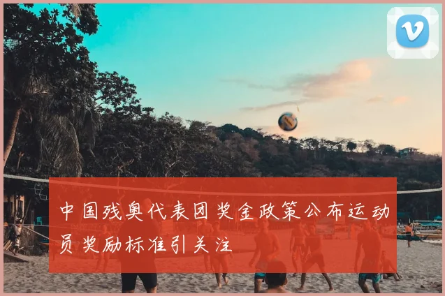 中国残奥代表团奖金政策公布运动员奖励标准引关注